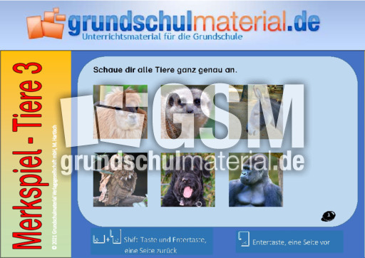 Merkrätsel-Tiere_03.pdf